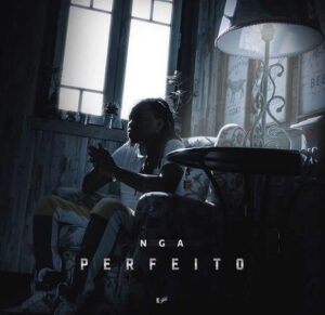Read more about the article NGA – Perfeito